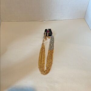 Paparazzi Elegant Gold and Silver Necklace with matching earrings.